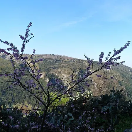 Apartment Appartamenti Camerota
